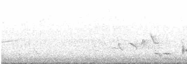 Lesser Swamp Warbler - ML615624826