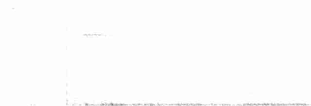 Bar-crested Antshrike - ML615625876