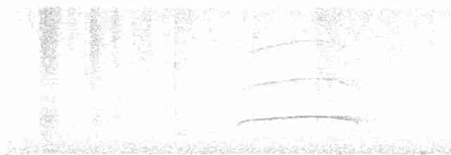 Boz Başlı Sinekkapan - ML615626692