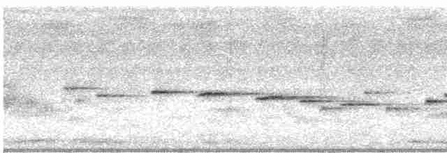 Northern Fantail (Northern) - ML615626954