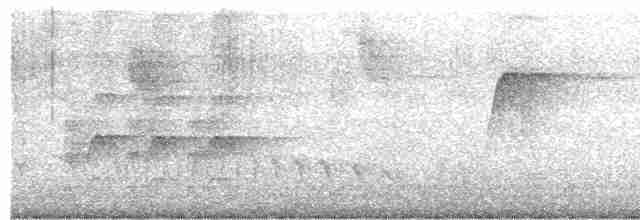 Ticotico Ojiblanco - ML615628254