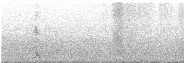 Медолюб-сережник східний - ML615630438