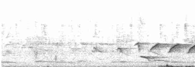 svarthodelarveeter - ML615630929
