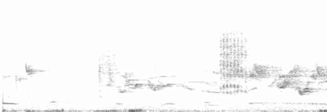 Mor Nektarkuşu - ML615631080