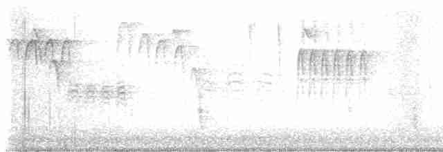 Дрізд-короткодзьоб плямистоволий - ML615634941