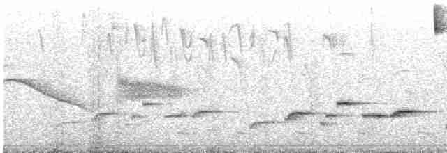 Troglodyte de Negret - ML615634984