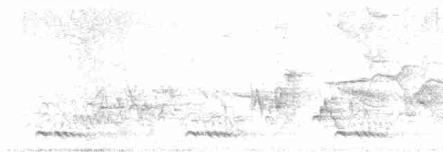 White-cheeked Barbet - ML615635323