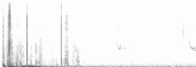 Белохвостый коршун - ML615636140