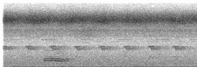 Koca Başlı Motmot [platyrhynchum grubu] - ML615637135