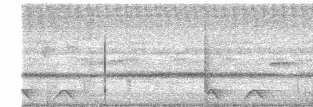Дрімлюга плямистий - ML615637843