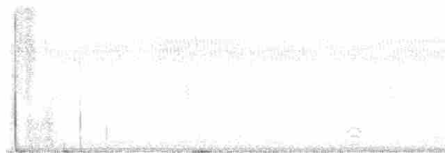 morčák chocholatý - ML615638226