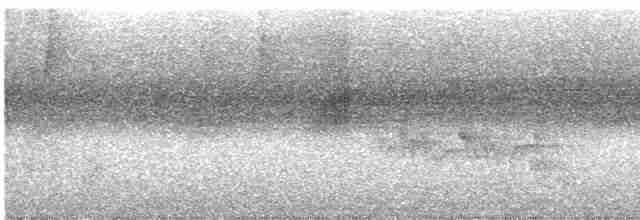 Віреончик іржастоголовий - ML615638273