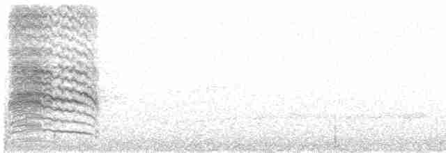 drozdec černohlavý - ML615642657