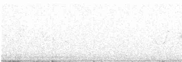 Gray-crowned Yellowthroat - ML615644743