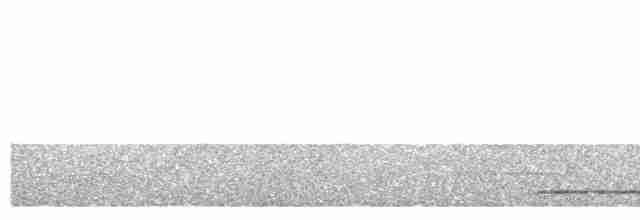Great Tinamou - ML615647009