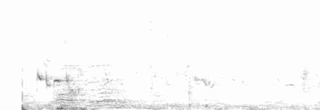 Bulbul à oreillons blancs - ML615654956
