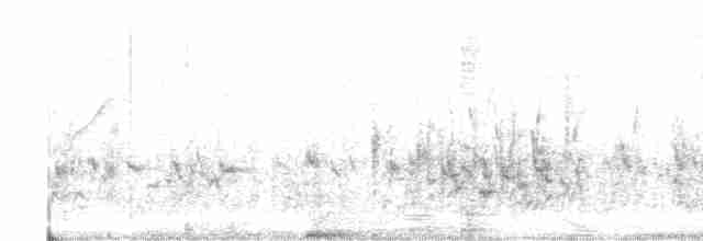 Bulbul à oreillons blancs - ML615655136