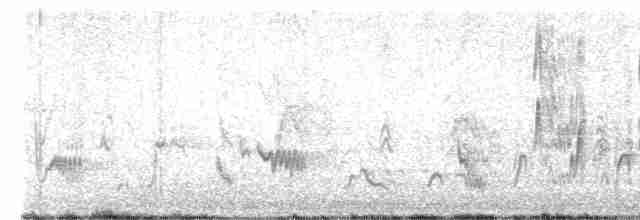 Кактусовый пересмешник - ML615655635