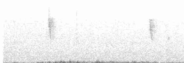 Ивовый мухолов (traillii) - ML615657823