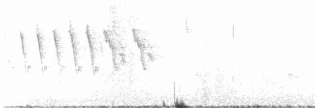 Slate-throated Redstart - ML615660159