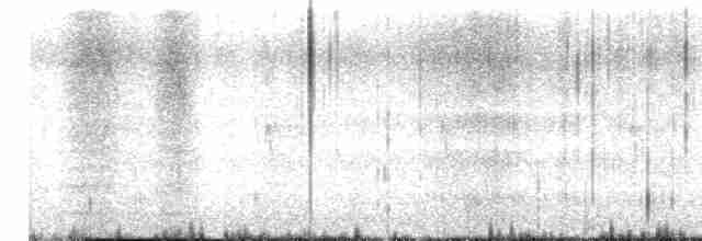 Great Spotted Woodpecker - ML615663994