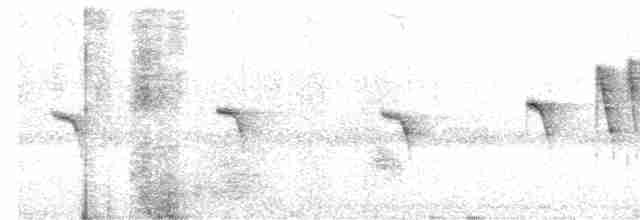 Gray-headed Canary-Flycatcher - ML615665294