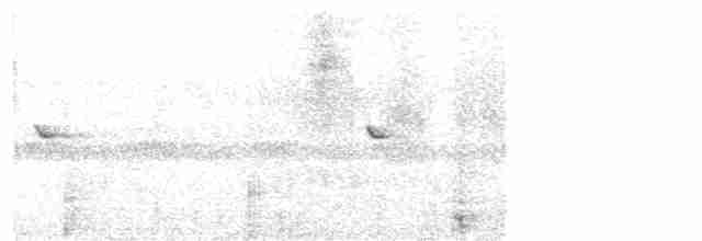 Little Pied Flycatcher - ML615665375