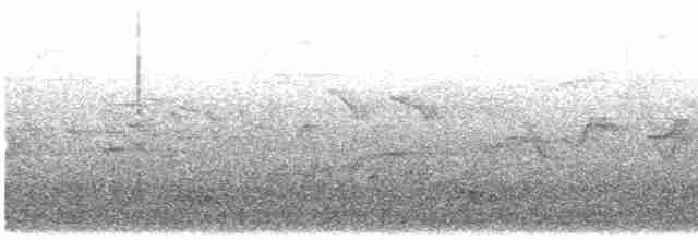 Tawny-breasted Tinamou - ML615665705