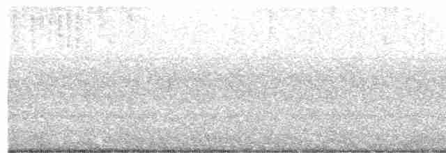 White-throated Nightjar - ML615667549