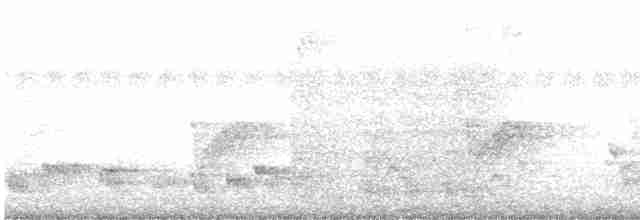Savannennachtschwalbe - ML615668772