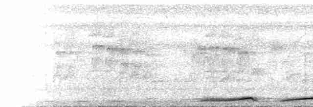 Танимбарская кукушковая горлица - ML615669250