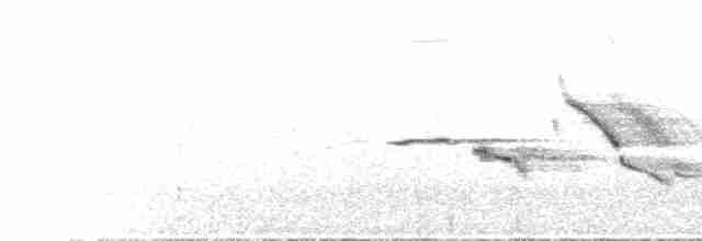 Eastern Meadowlark - ML615670047