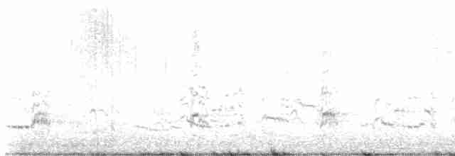 Royal Tern - ML615671973