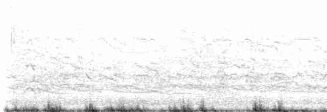 Royal Tern - ML615671976