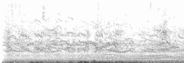 Royal Tern - ML615671990