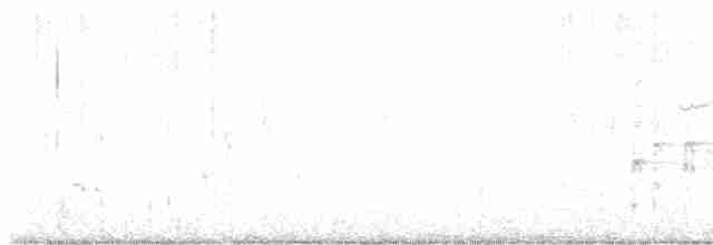 vlhovec velkoocasý - ML615672578