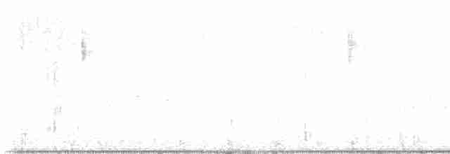Paruline verdâtre - ML615672621