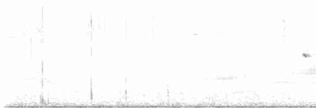 Тауї плямистий - ML615672697