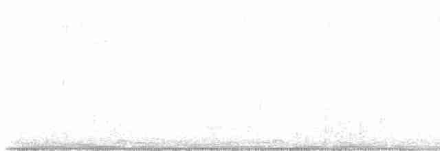 Длиннохвостый крапивник - ML615672754
