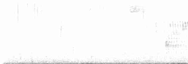 Тауї плямистий - ML615672773