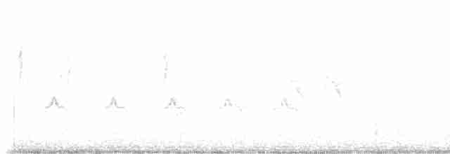 Chaparralgrasmücke - ML615672808