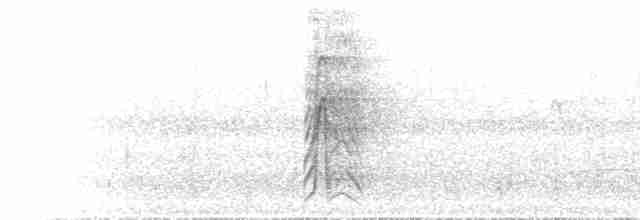 Зернолуск чорноголовий - ML615672923