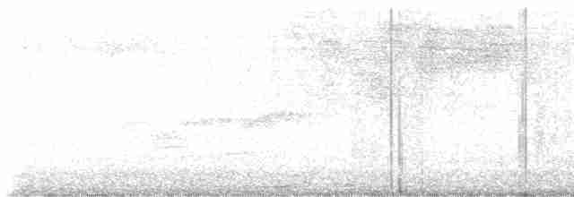 Чешуйчатогрудый пересмешник - ML615673941