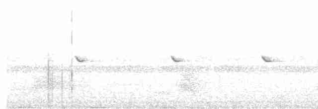 Gray-headed Canary-Flycatcher - ML615674090