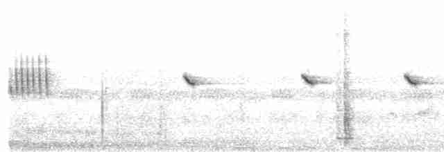 Little Pied Flycatcher - ML615674119