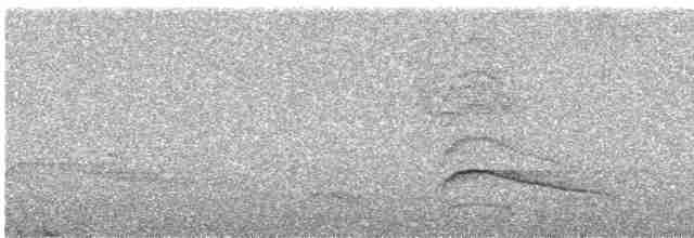 Канюк плямистогрудий - ML615674311