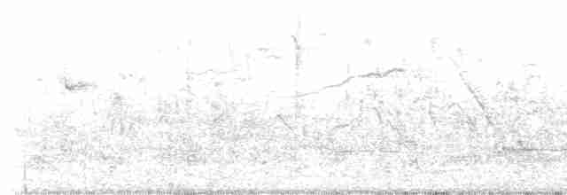 Шпак піренейський - ML615676454