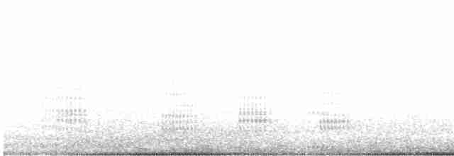 kormorán neotropický - ML615676699