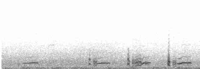 Серогрудый зобатый бегунок - ML615677797