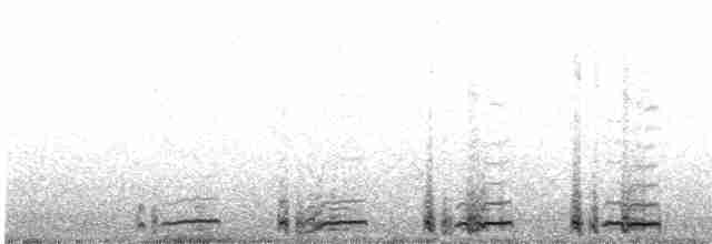 Серогрудый зобатый бегунок - ML615677799